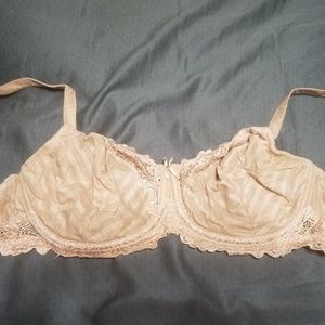 Striped lace whimsy bra 34DDD